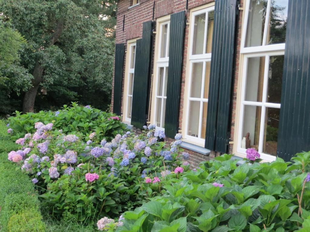 Rezonans 3* Warnsveld