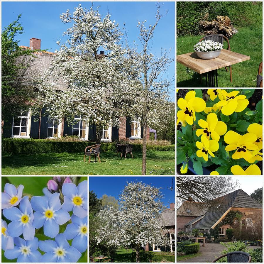 Rezonans Gasthuis 3*