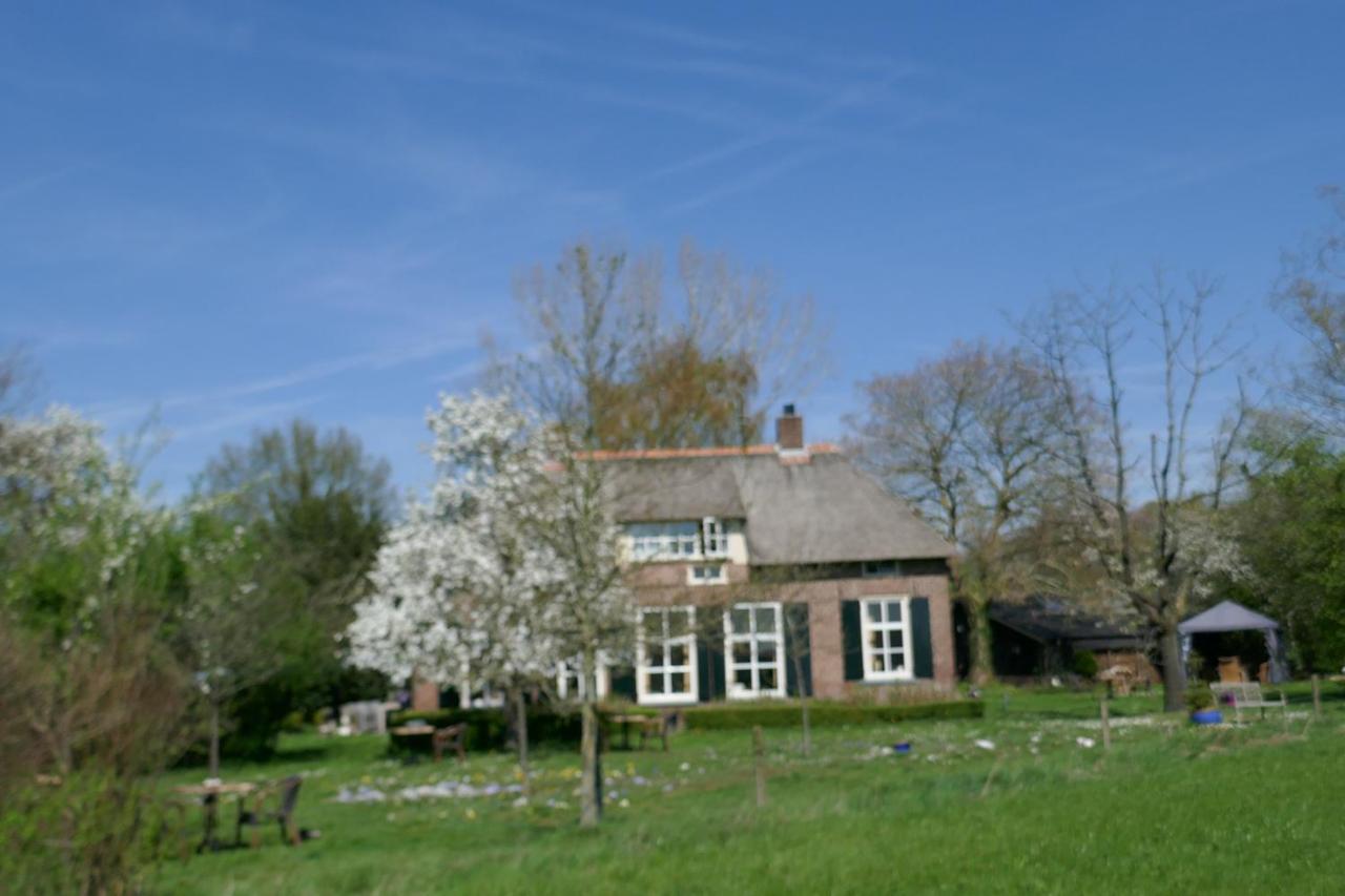 Rezonans Warnsveld