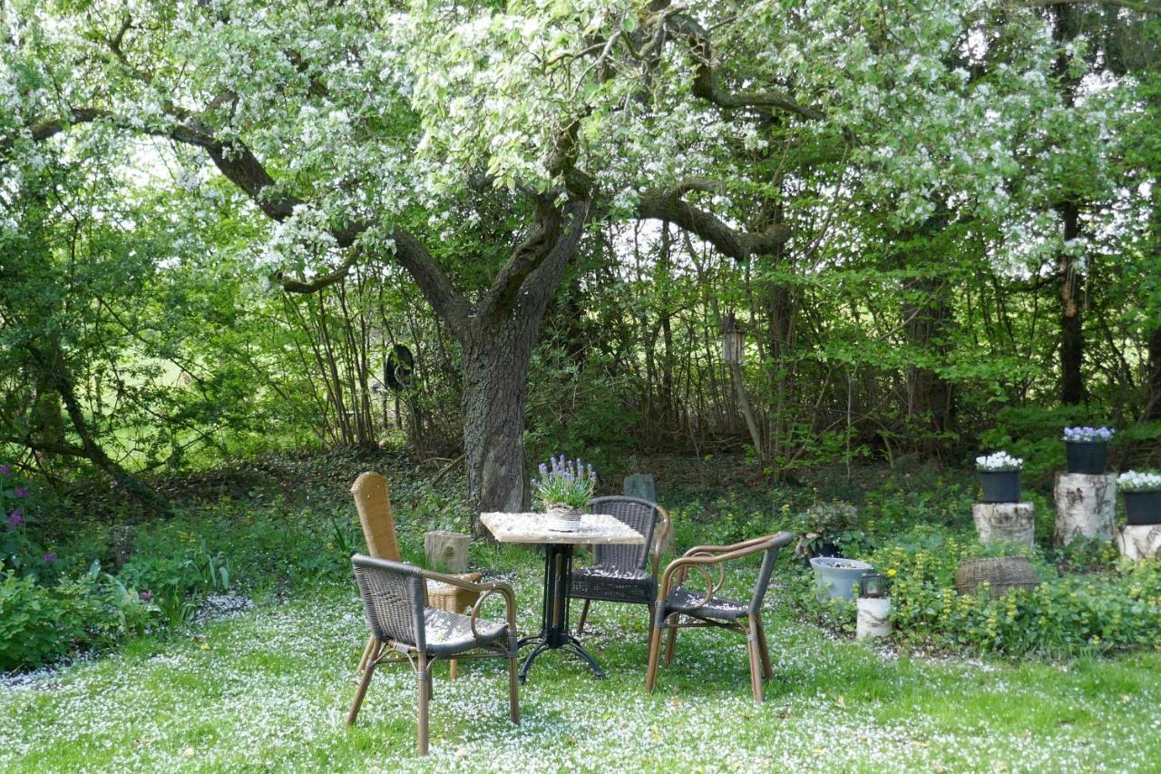 Bed & Breakfast Rezonans Warnsveld